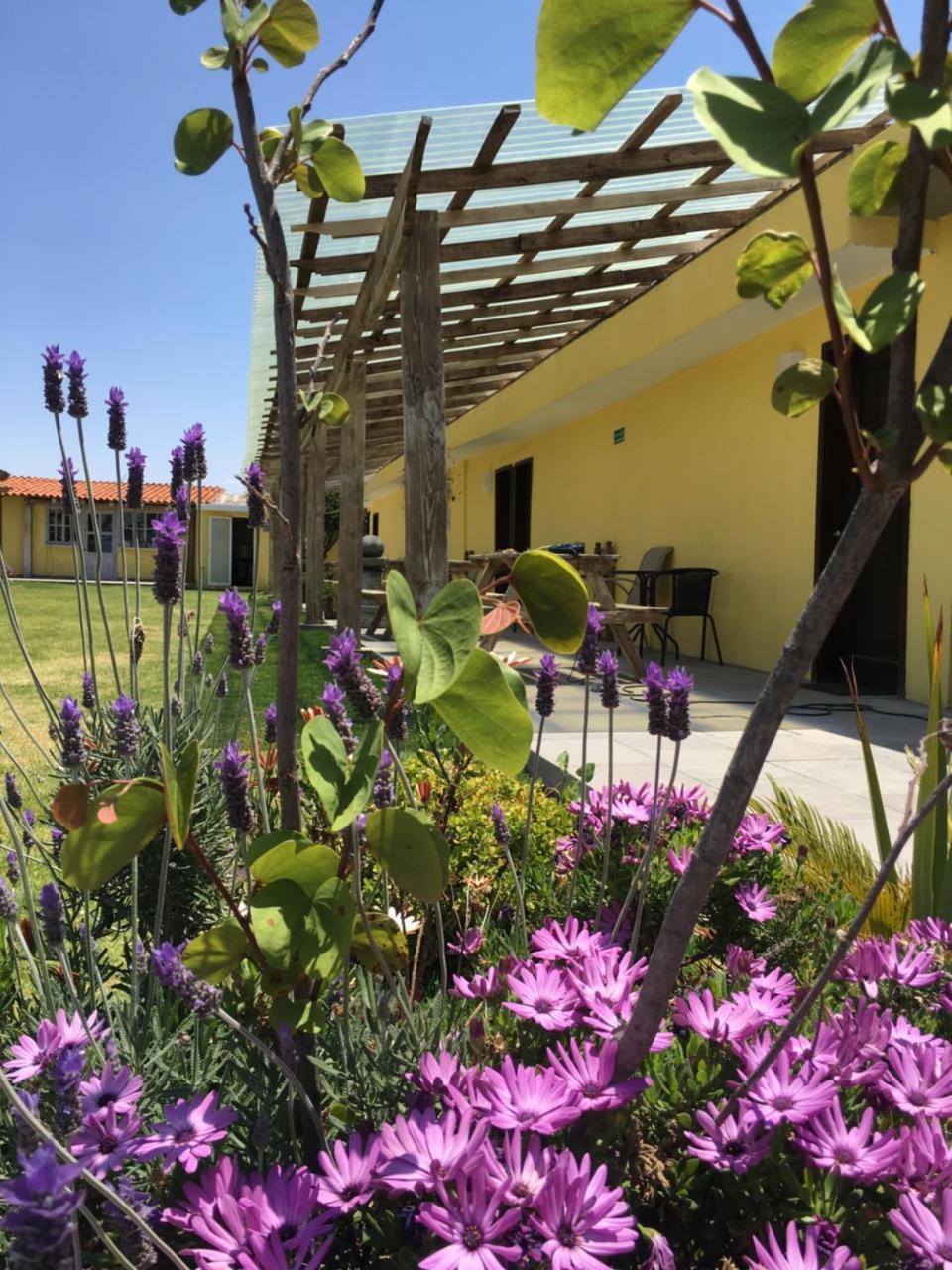 Hotel Quinta San Antonio Nopalucan de la Granja Eksteriør bilde